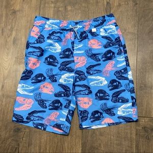 Dinosaur swim trunks